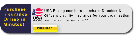 Purchase directors and officers liability insurance online.